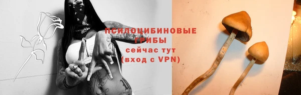 гашик Баксан