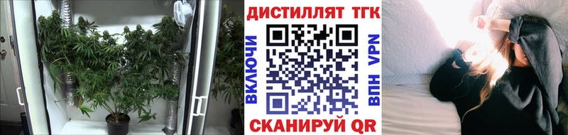 Купить  Ладушкин  Дистиллят ТГК вейп с тгк 