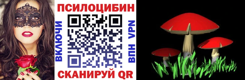 Купить закладки  Ладушкин  Псилоцибиновые грибы Cubensis 